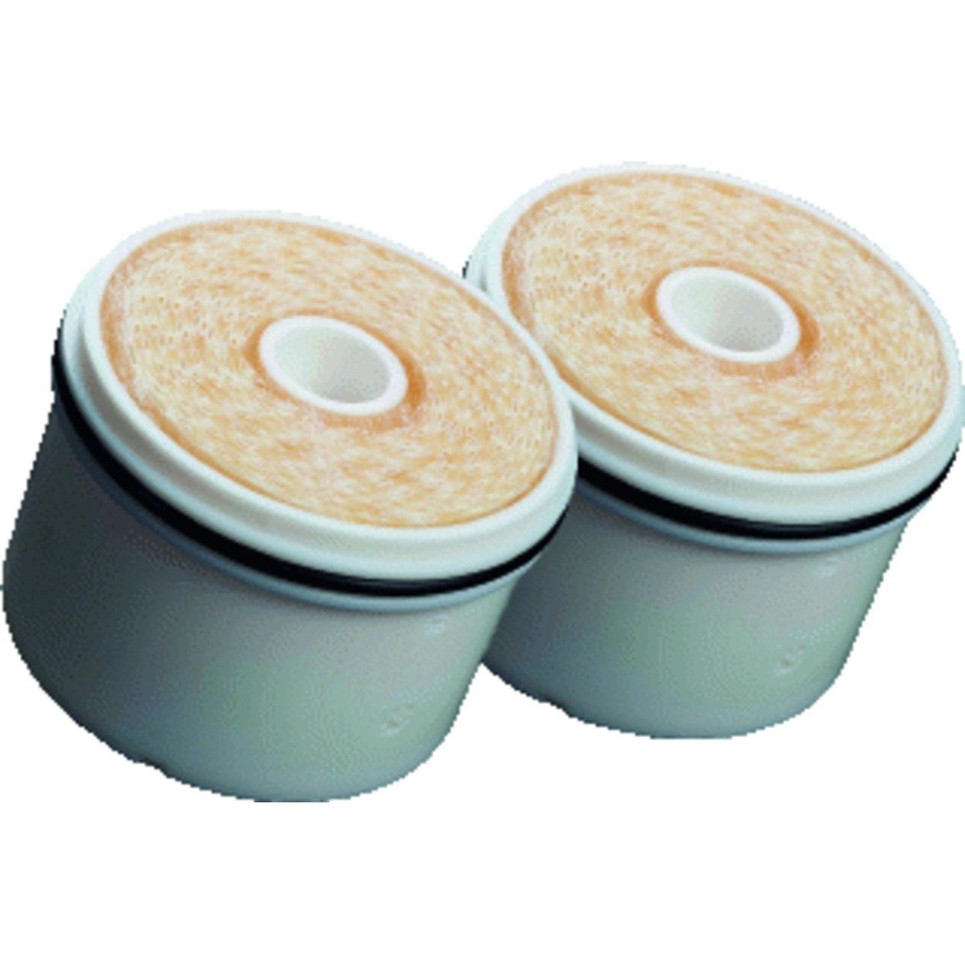 Filtrix legionella vervangfilter